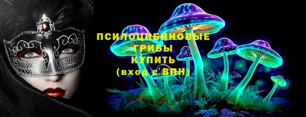 спайс Аркадак