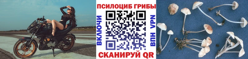 ОМГ ОМГ зеркало  Ртищево  Галлюциногенные грибы GOLDEN TEACHER  закладка 